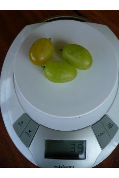 Виноград белый Айвенго – взвешивание ягод